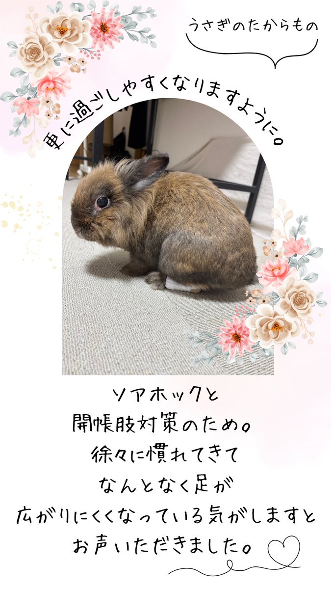 開帳肢のうさぎさんへ。
歩きやすく更に快適に過ごせますように。