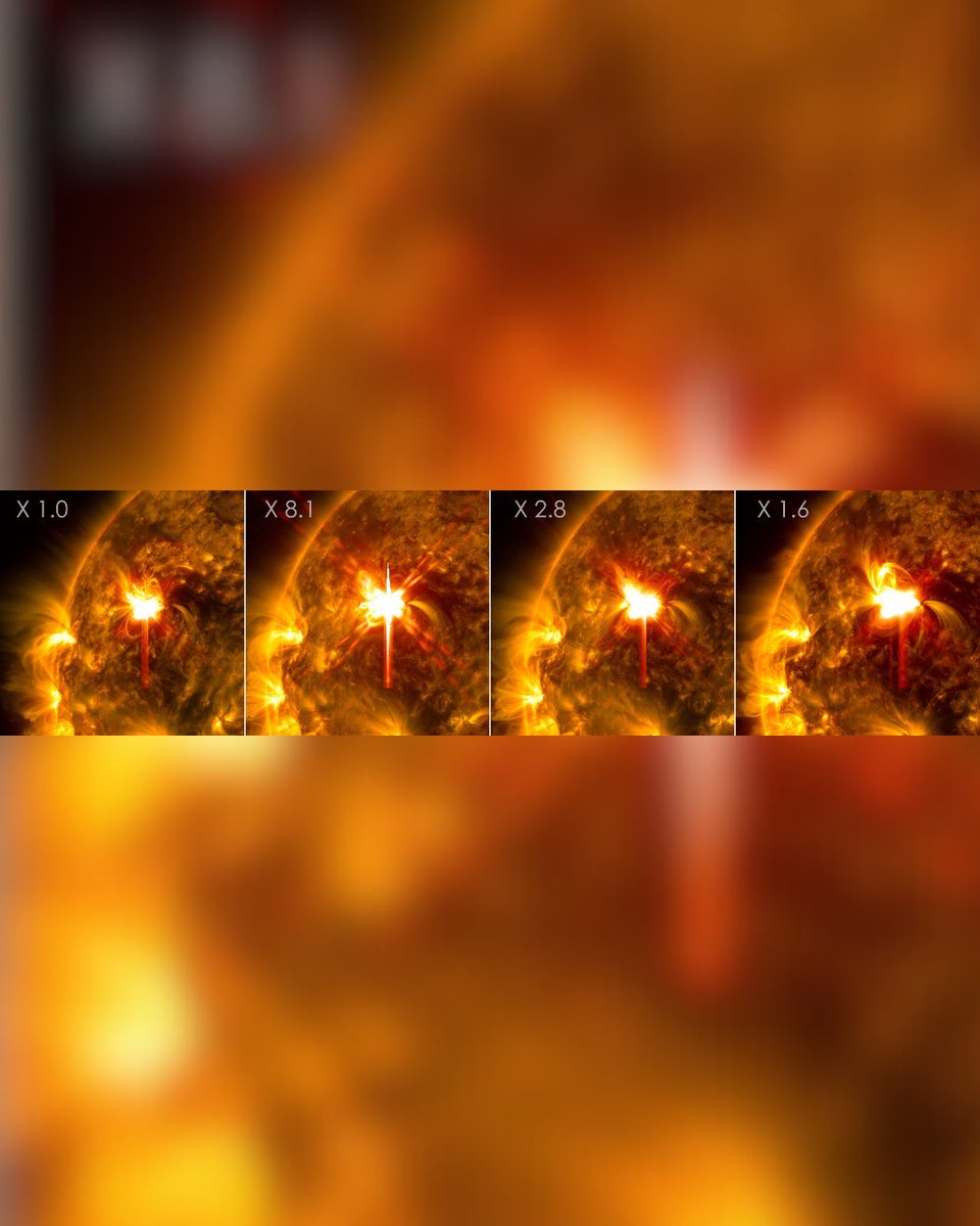 Ned Oliveira tweet media