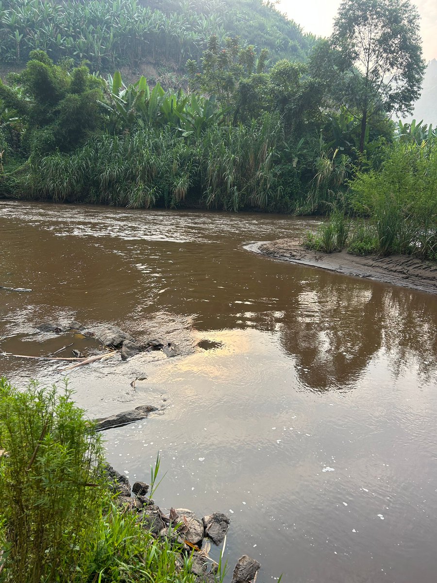 I took this picture from the wetlands of Kanungu, my place of origin! Perhaps my gut was trying to communicate something to me. I sensed the message and captured the moment, saving it in my gallery. You might blame me for not sharing it the day I took it, but maybe the universe