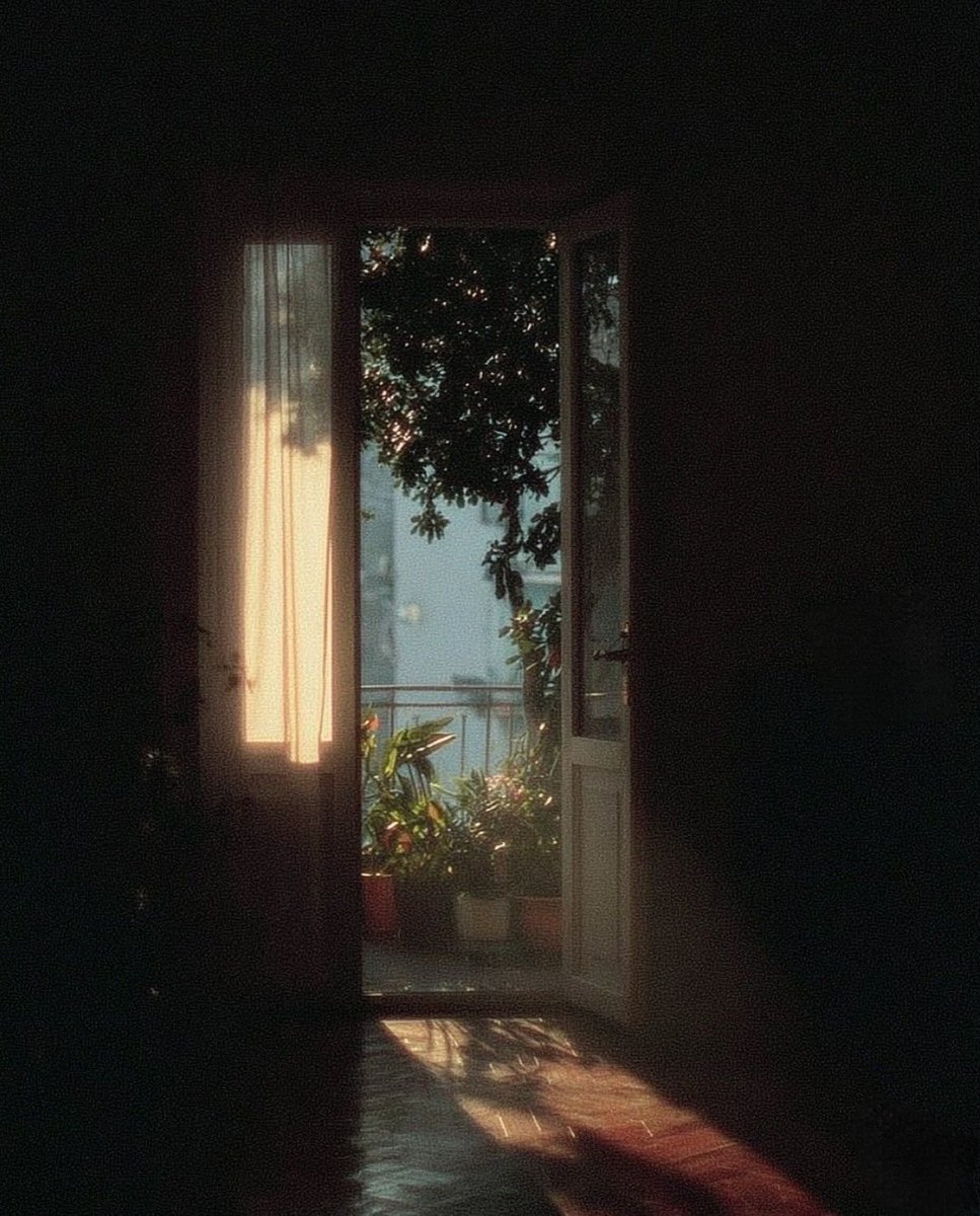 aestheticspost_'s tweet image. 