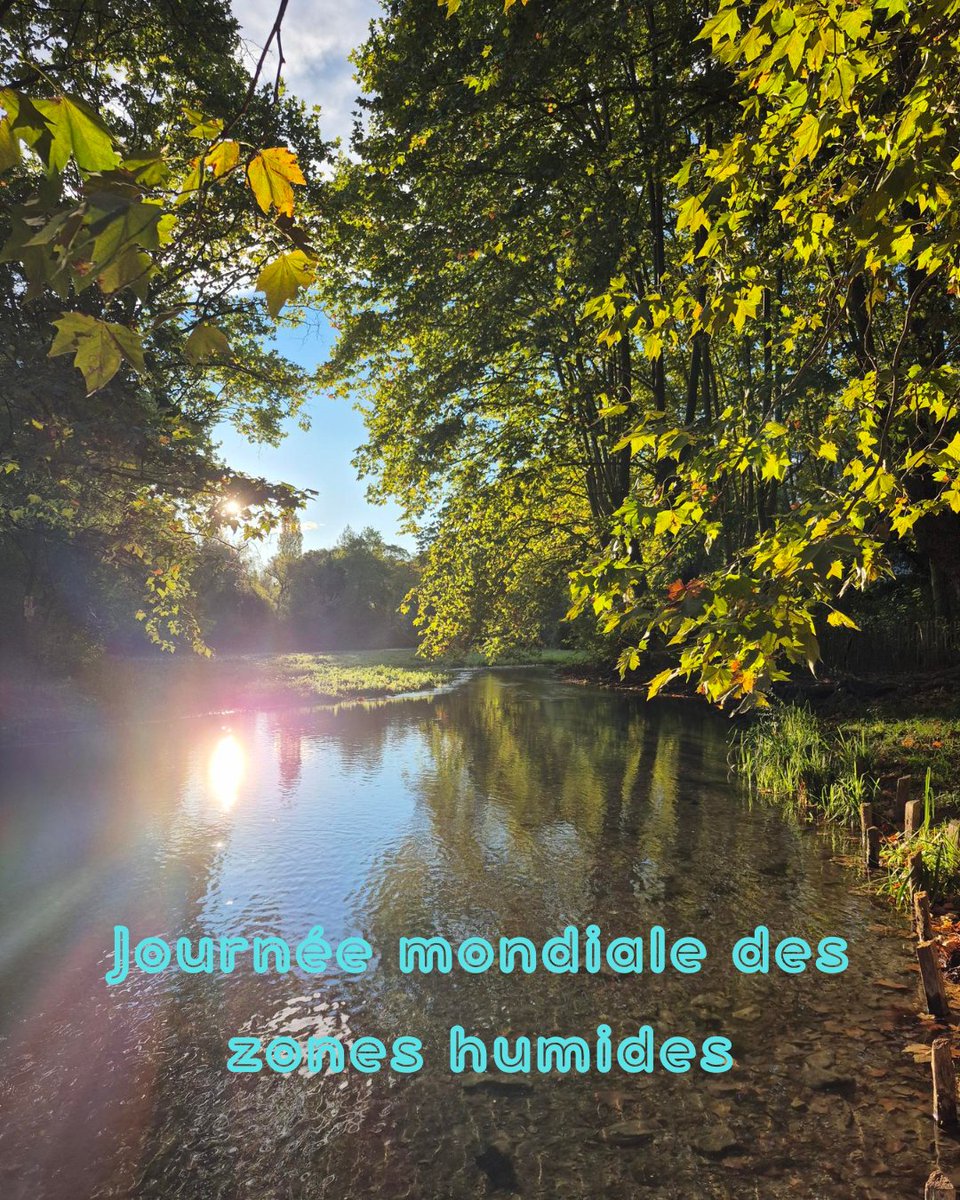 Régie des eaux 3M tweet media