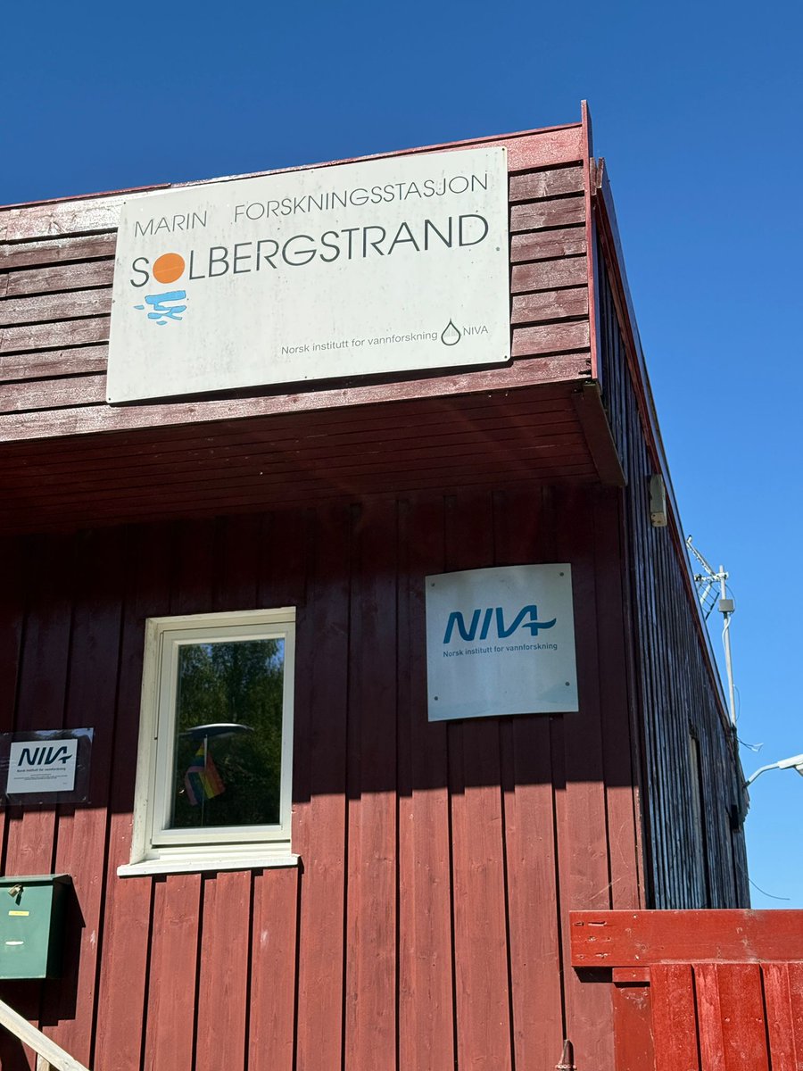 ITCCANARIAS's tweet photo. Estos trabajos se enmarcan en las actuaciones promovidas por ITC con el proyecto #ThinkInAzul Canarias, integrado en el Plan Complementario de I+D en #CienciasMarinas cofinanciado por @mitecogob con fondos #NextGenerationEU y el Gobierno de Canarias vía @agenciaiisi @CUCIC_GobCan https://t.co/LfANDXjhqJ