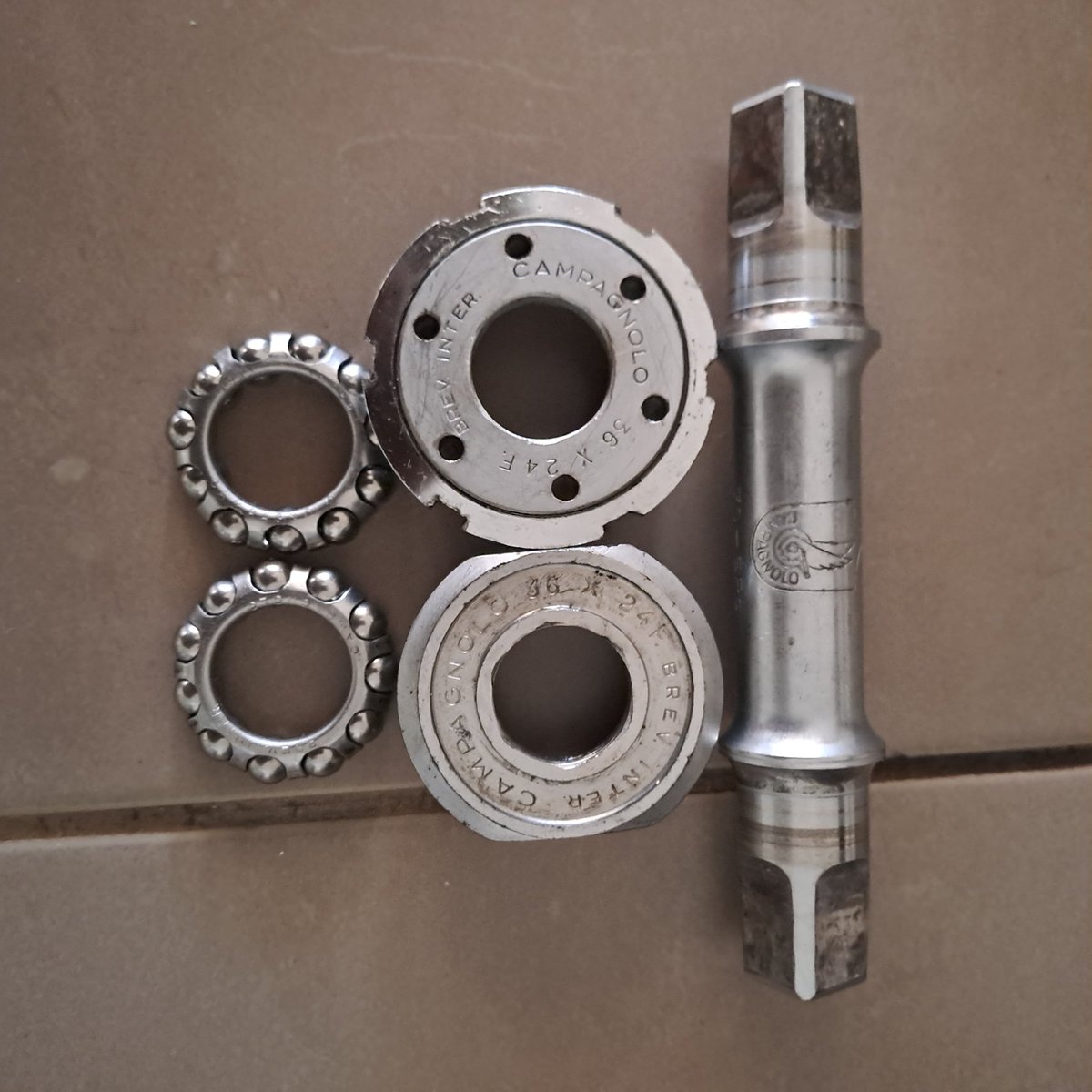 doobiedudu tweet media