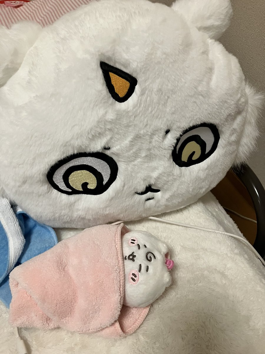 Fuzzyyyyyy_nsp's tweet photo. うちの子食われそう https://t.co/r72uNZ35K2