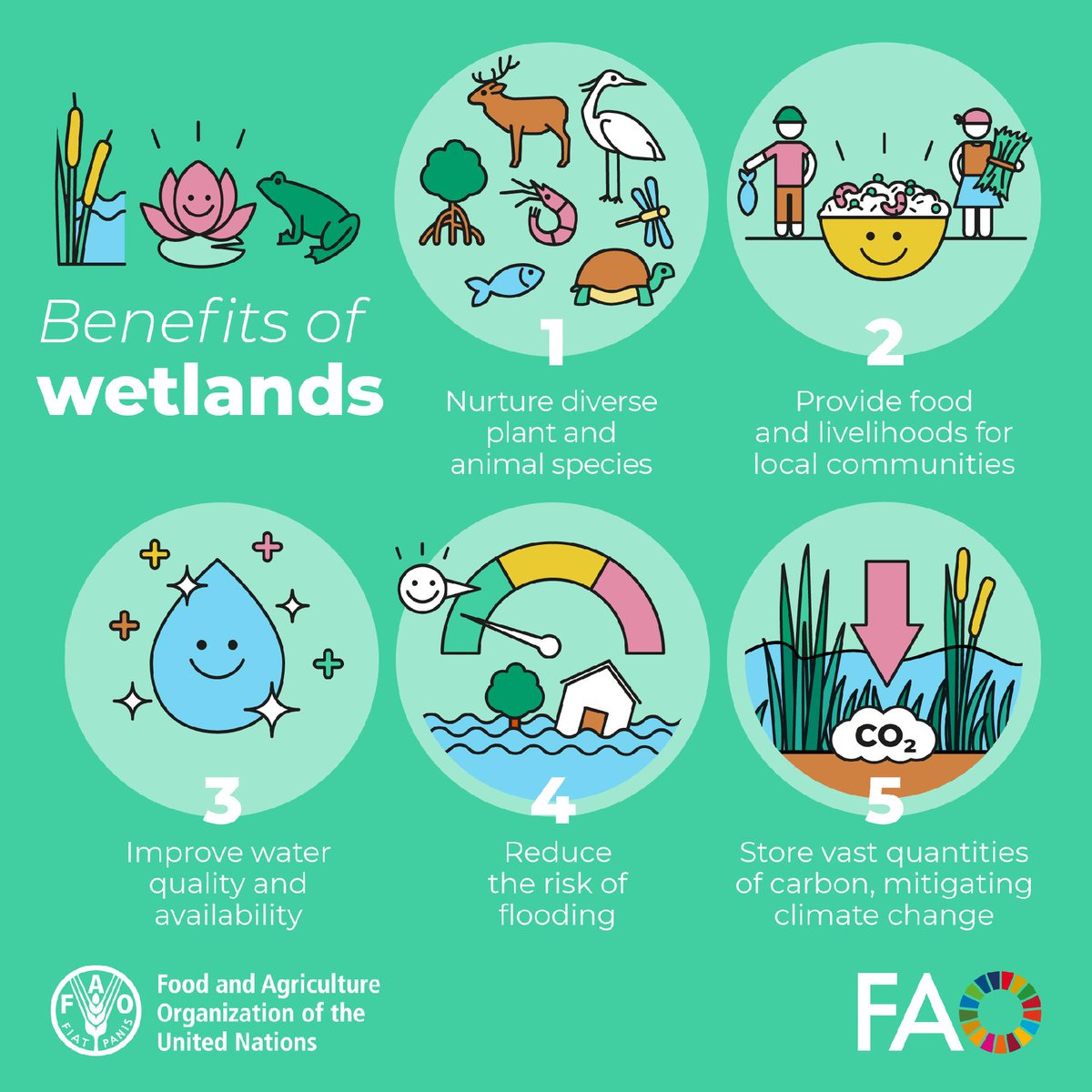 5️⃣ reasons why we need to protect these vital ecosystems 👇

#WorldWetlandsDay