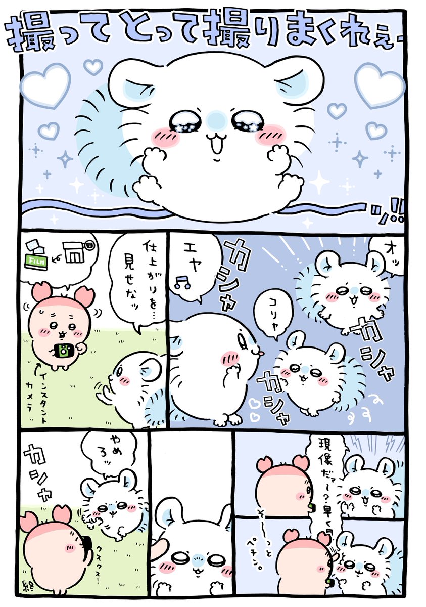 ngnchiikawa's tweet image. 📸