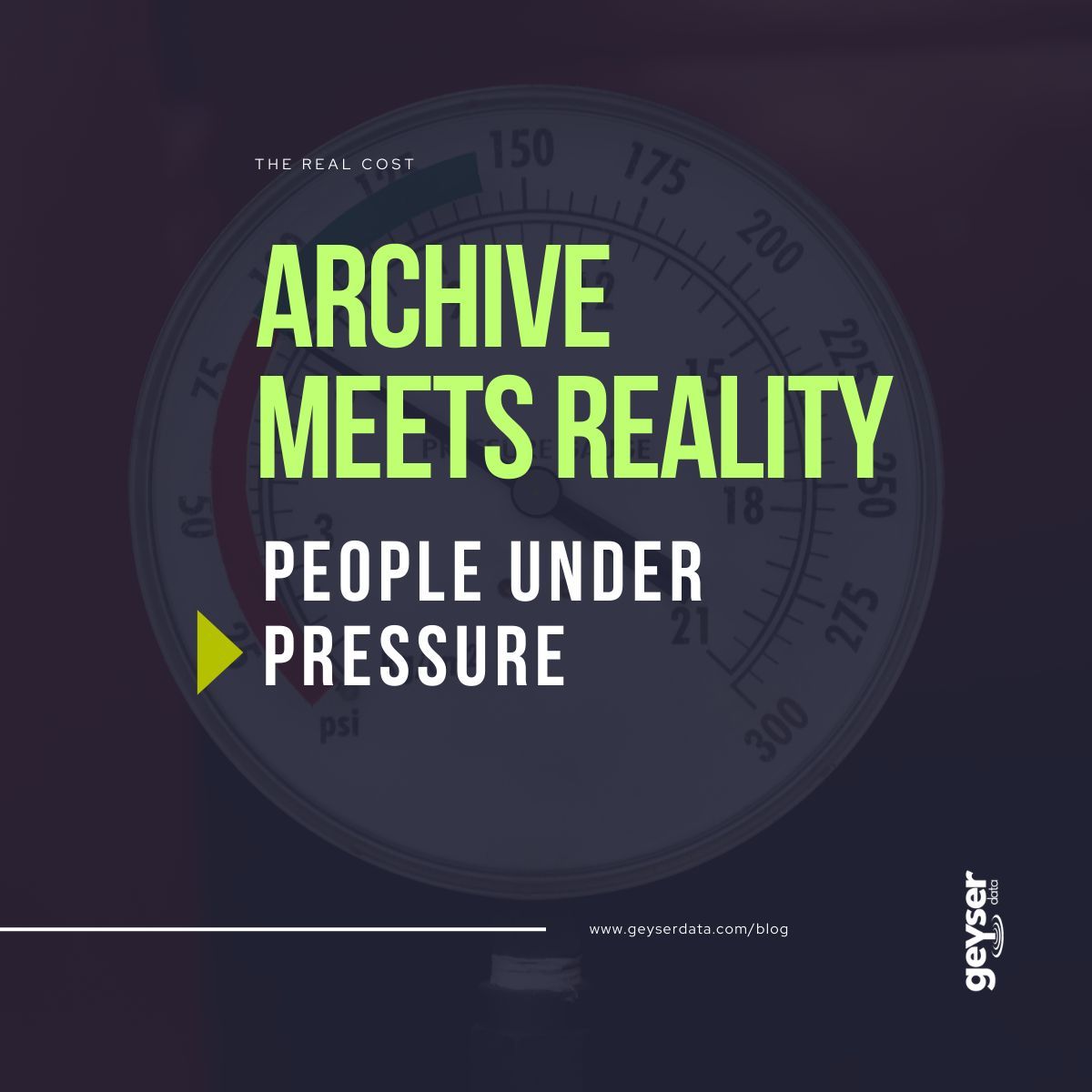 Geyser Data tweet media