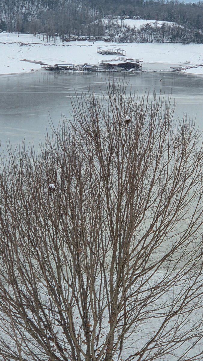 RandyPless's tweet photo. Two bird condos for sale. Motivated owners. 😀#DouglasLake #DandridgeTN @WBIRWeather https://t.co/8xhvojnpJ9