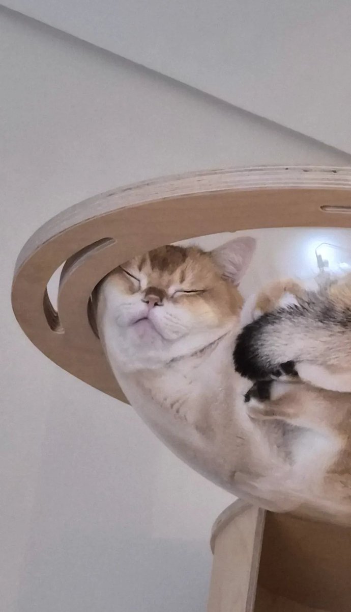 [#INSTAGRAM] Sunmi story update:

“MyoChonCo” (Miyomi Chewy Cookie)

“What”

🔗 instagram.com/stories/miyaye…?

#SUNMI #선미