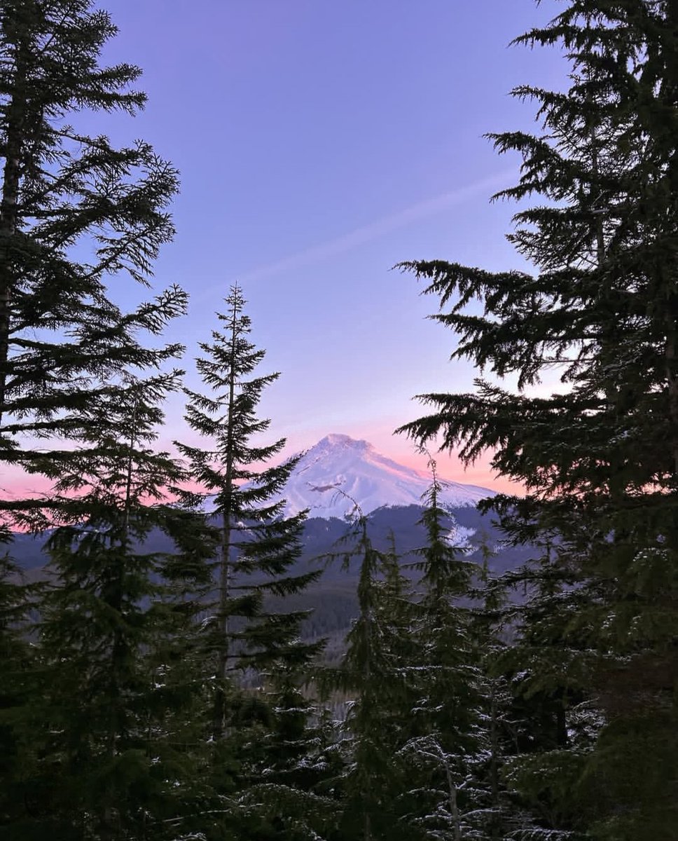 Fabiana54091377's tweet image. #USA #France #Uruguay #United #States #America