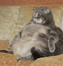 FaronSinclair's tweet image. 今日写真を続ける 👩‍🏫