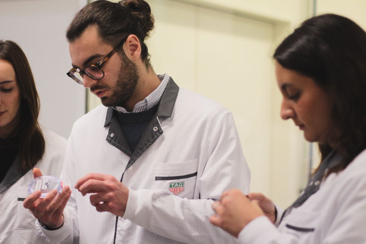 ICN Business School tweet media