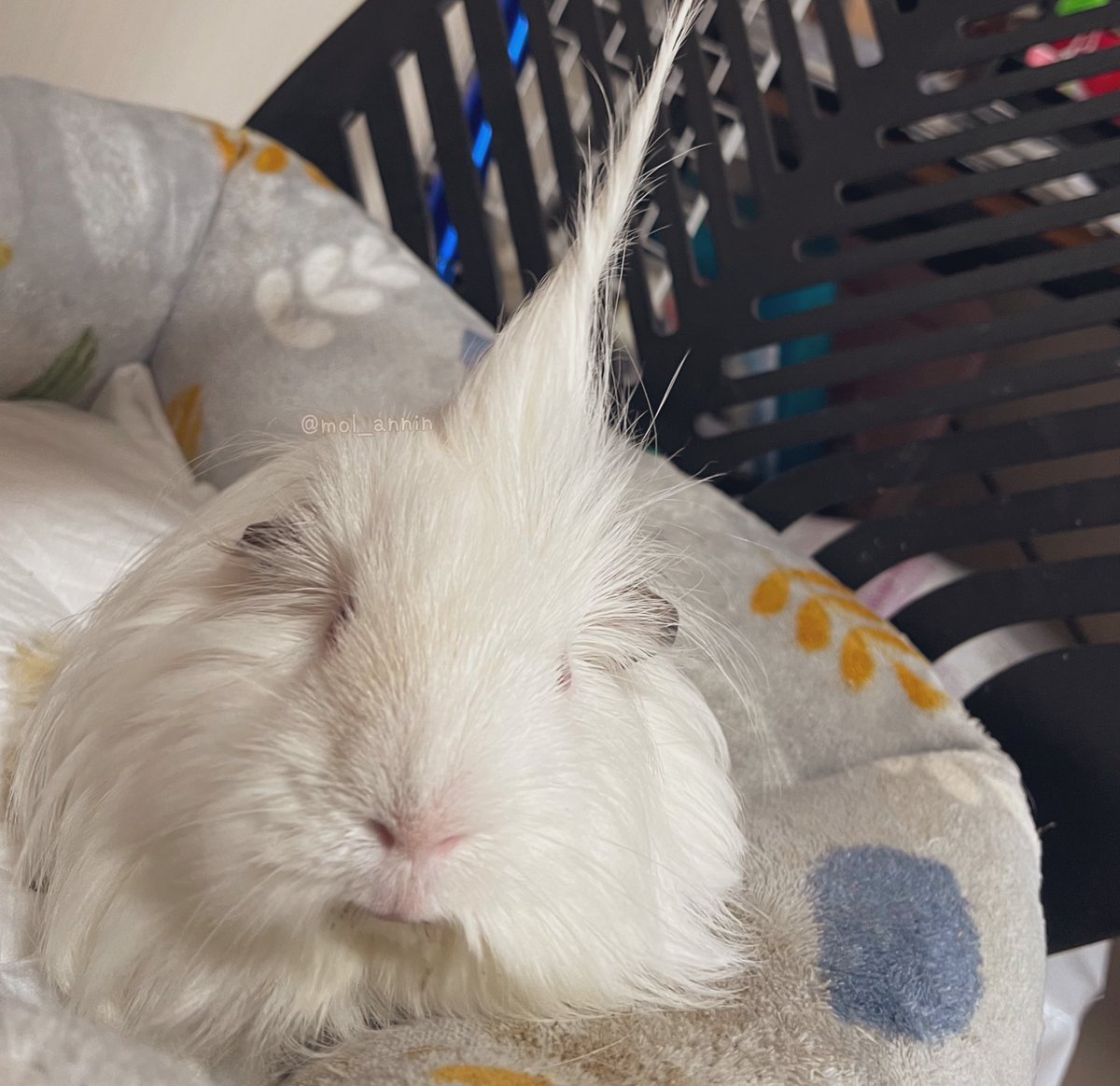 urrrinal's tweet image. he's picking  up a signal be careful ..,