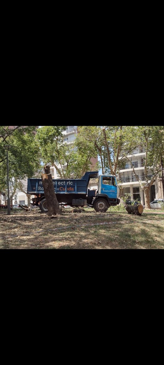 NuestrosArboles's tweet image. Vecinos comparten imágenes de tala de árboles en Plaza López.
@AmbienteyEP  @pablojavkin ¿pueden indicar el motivo de la intervención y compartir las autorizaciones correspondientes? 🌳
#rosario plaza