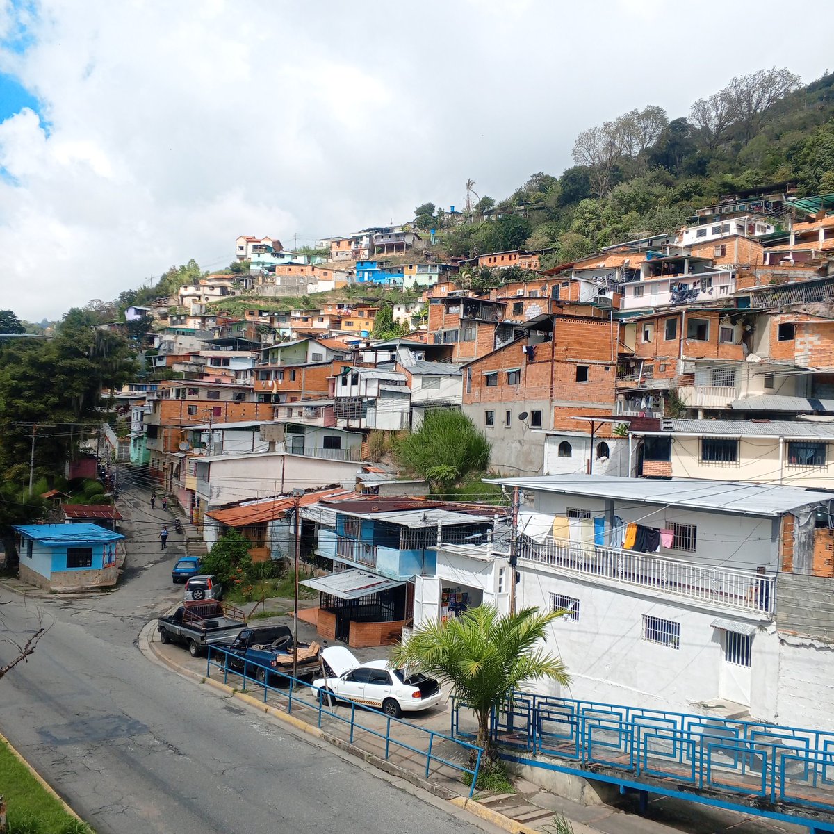 elfinalista tweet media