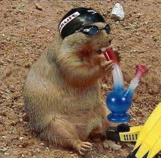 T. J. Zale tweet media