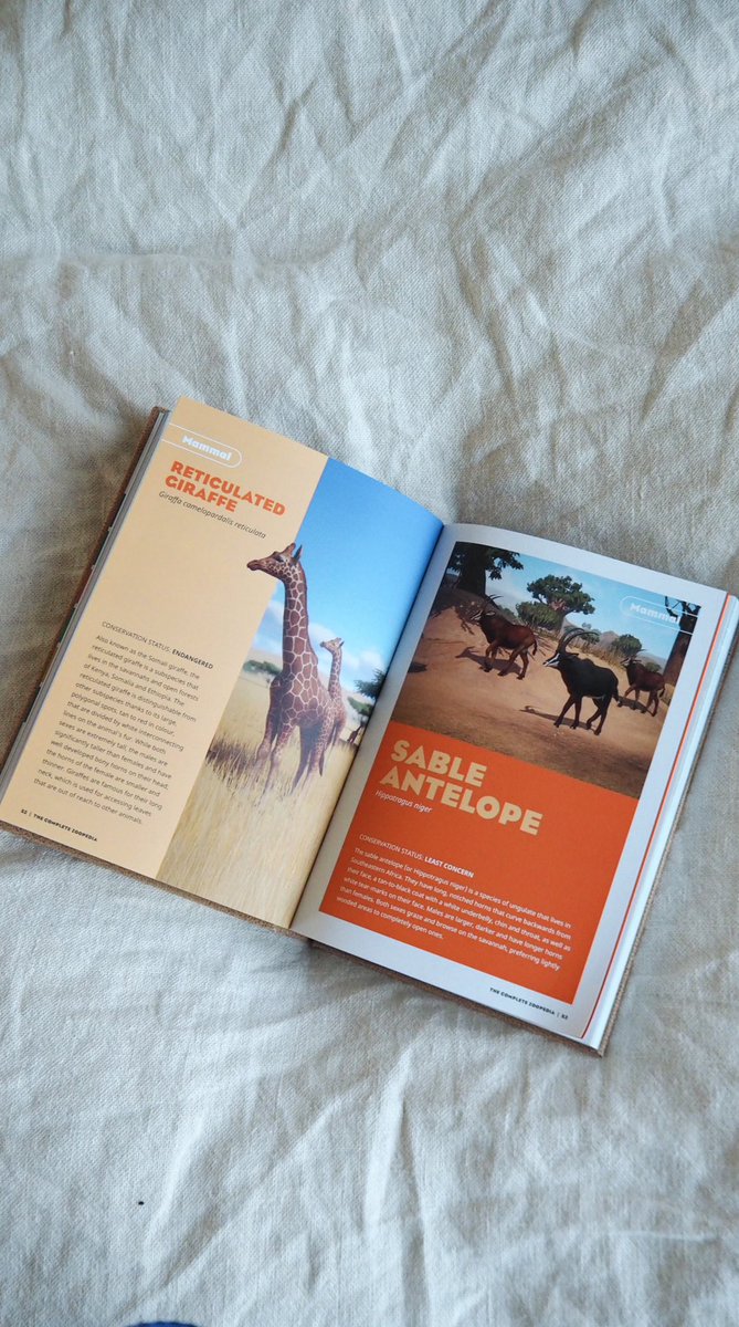 Cesar Creates tweet media