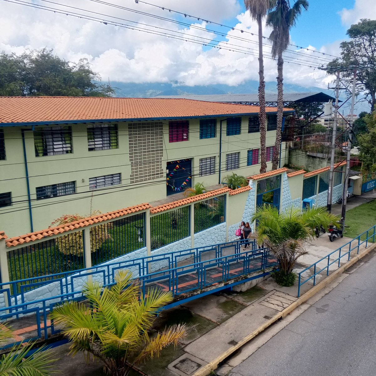 elfinalista tweet media