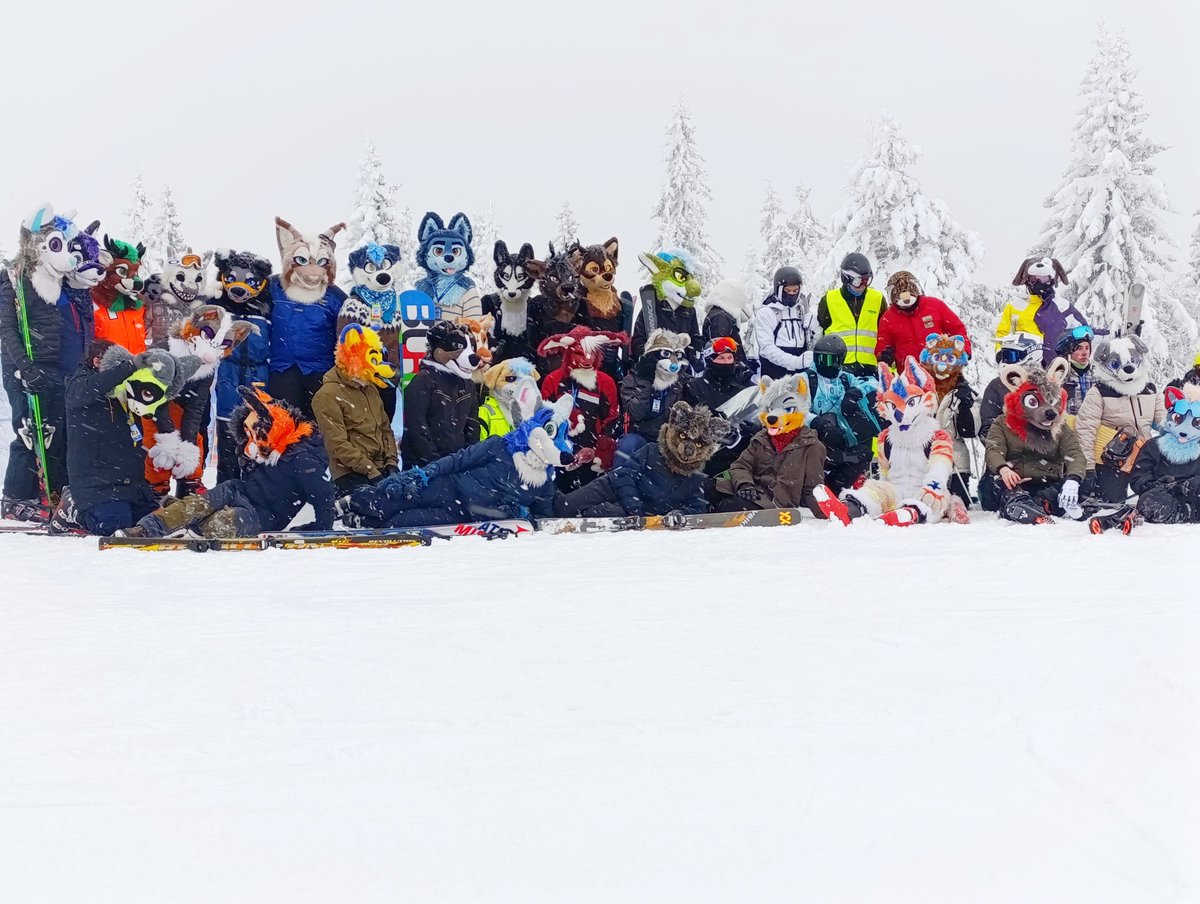 🚀Skout⭐ tweet media