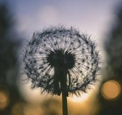 Dogelo's tweet image. 口でする 😩