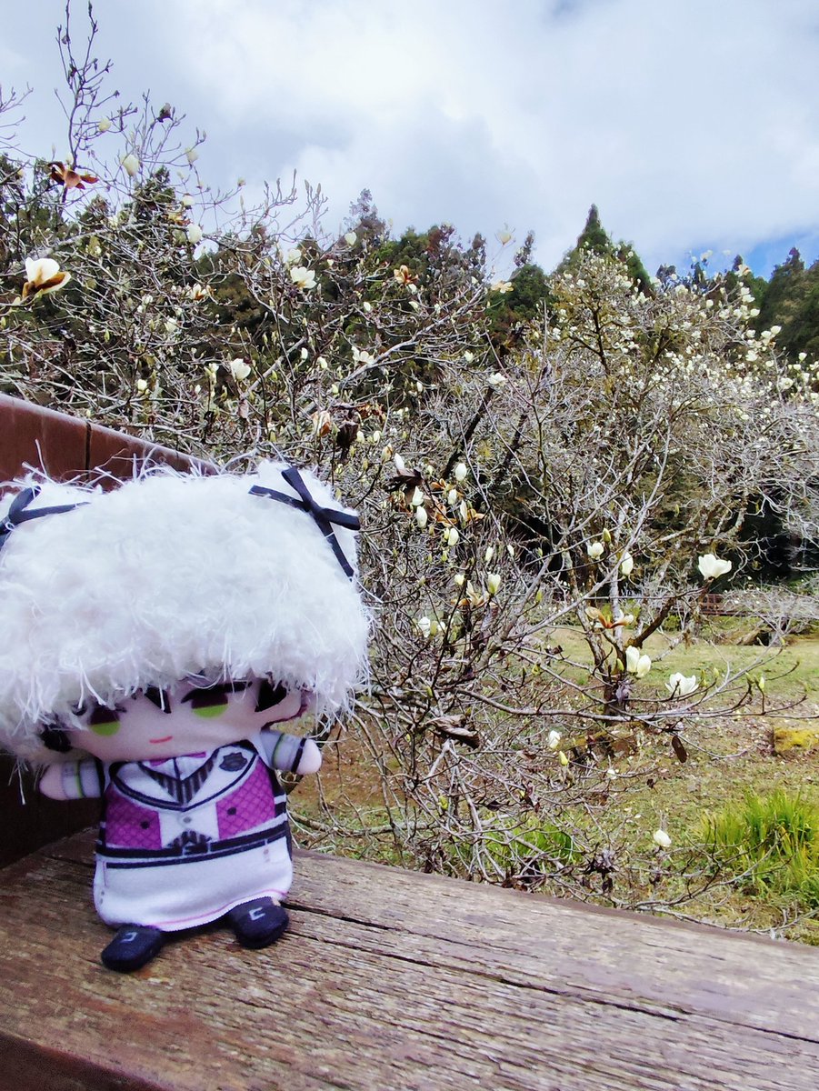 wenchi_707's tweet photo. Soma in Alishan ૮ ◜ᵕ◝ ྀིა
#そうまみろ https://t.co/0Z2MOpQRxs