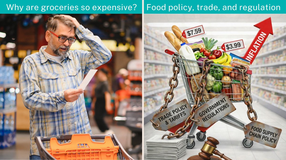 Elect Better tweet media