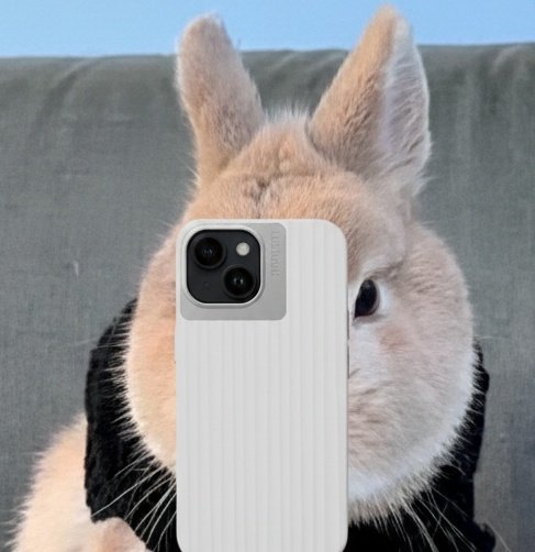 omar as bunny🐇 (@omarasbunny) on Twitter photo 