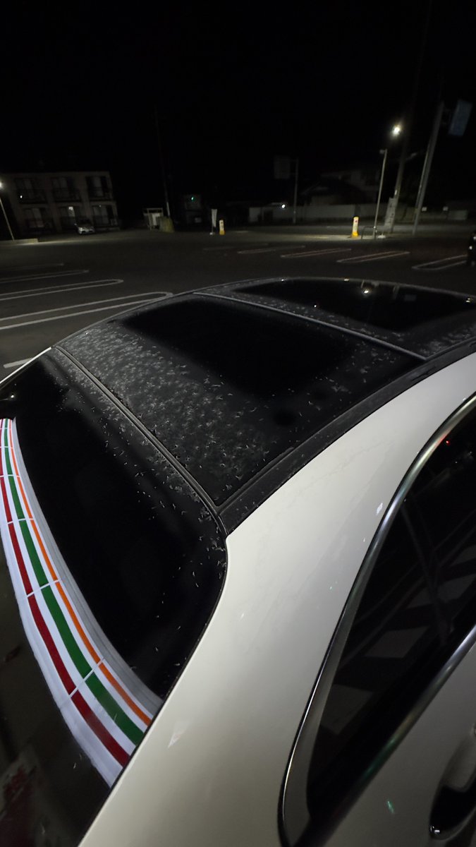 車が凍ってるけどこれから帰京