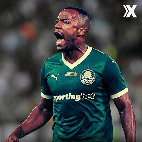 Palmeiras Revoltado 🐷🐷🐷 tweet media