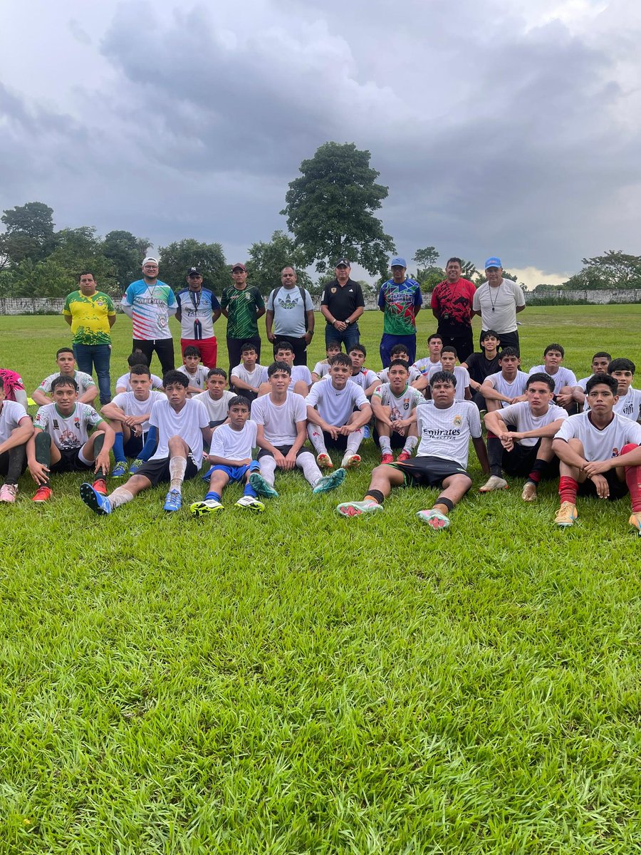 elfinalista tweet media