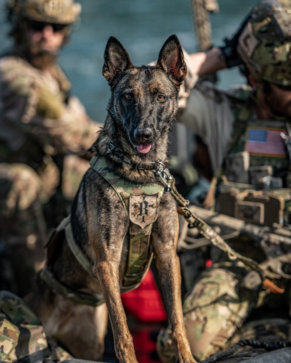 Persistent Systems tweet media