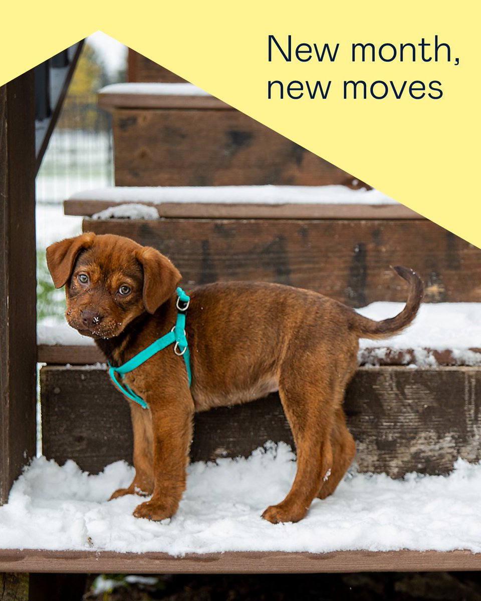 ❄️ February is here, and a new month brings new opportunities to move forward.

New month. New goals. New moves.
And a team ready to guide you every step of the way.

Stockton Mortgage NMLS: 8259 | Equal Housing Lender | nmlsconsumeraccess.org