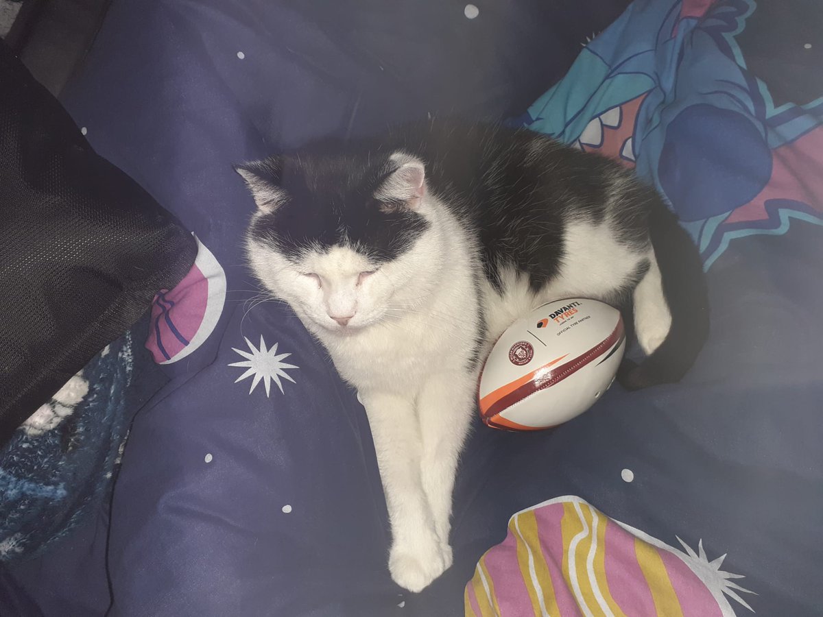 ShimShima12's tweet photo. @edmundmcmillen Looking through more photos of him does have me tearing uo (including the one cropped image of his face that became a running gag in my friend group for a while.) https://t.co/3DNKZ2AGJ5