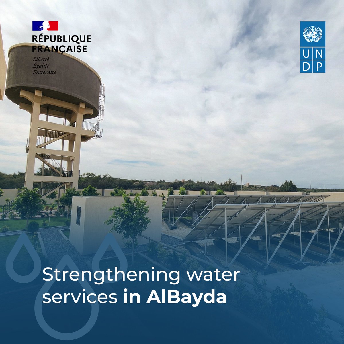 UNDP Libya tweet media