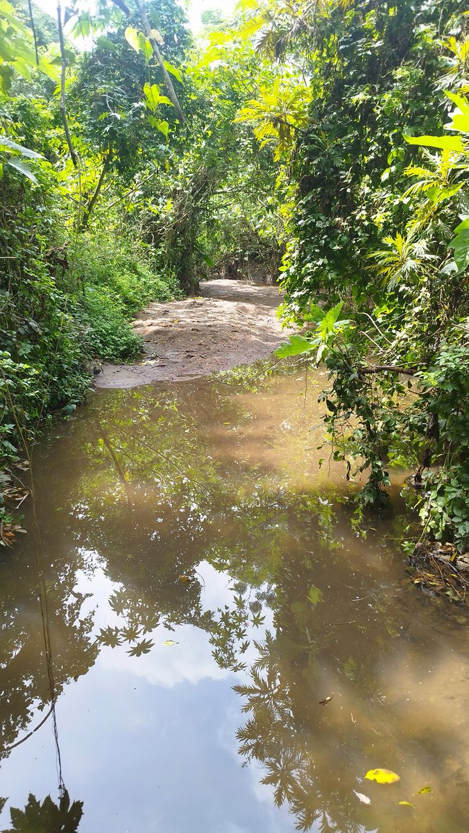 Al interior del predio en conflicto existe el manantial principal, así como galerías filtrantes subterráneas que captan el agua de otros manantiales. Desde ahí parte el acueducto histórico hacia los tanques de Colomos, que a la fecha abastecen a alrededor de 50 mil personas.