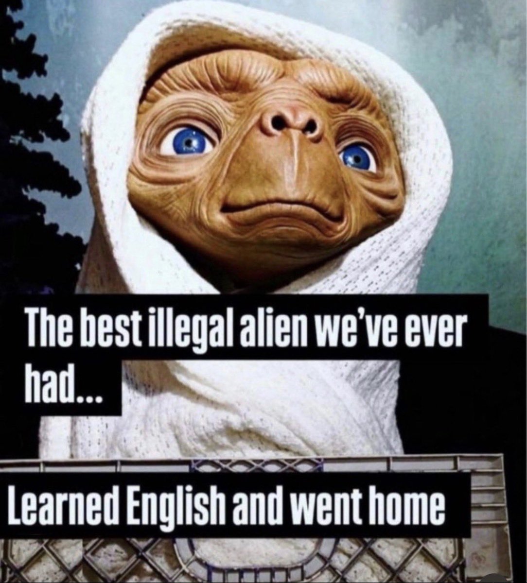 Newmo Matt (@antimullet2) on Twitter photo 