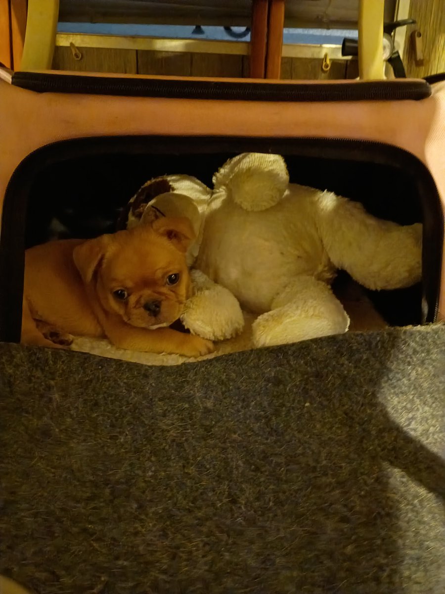 Monster Cheech tweet media