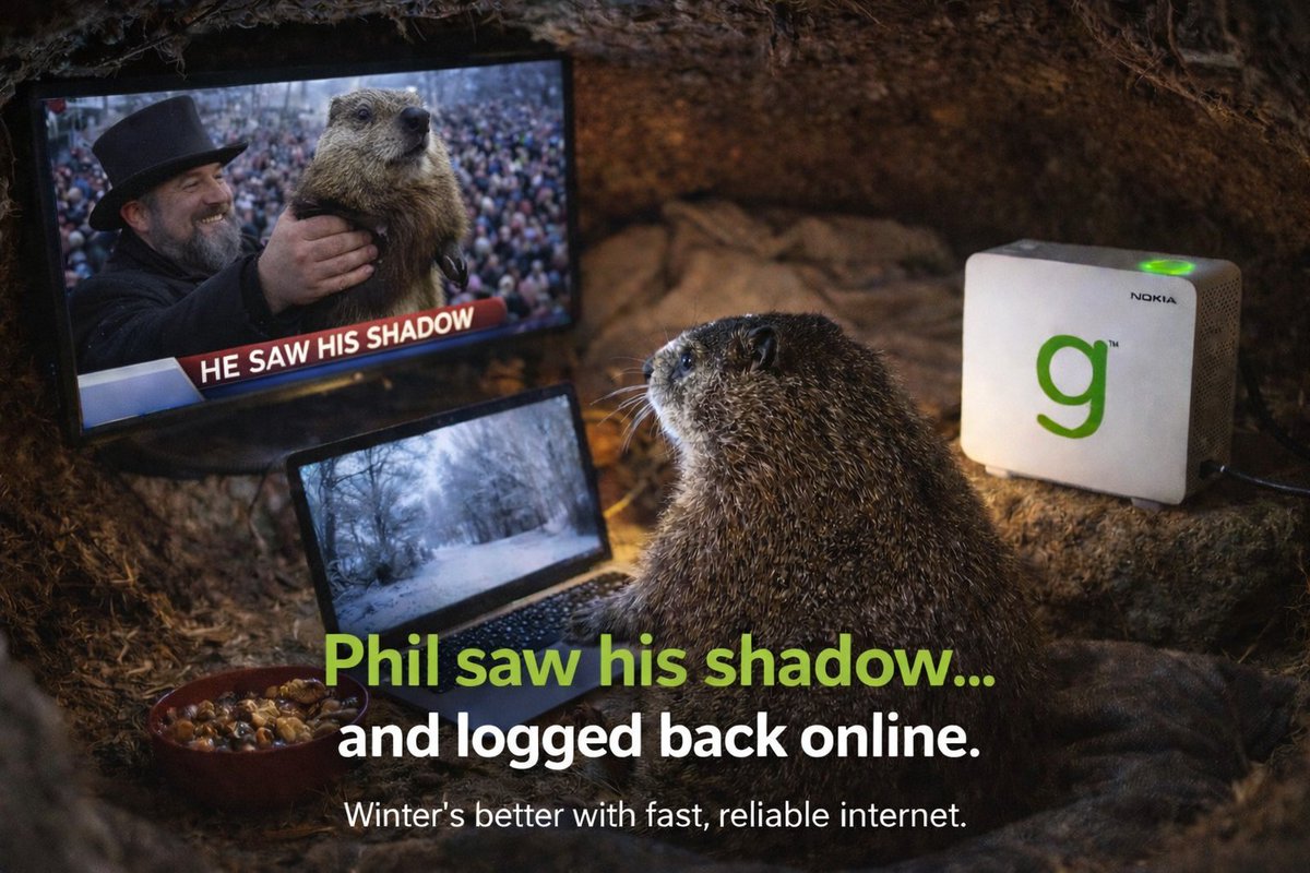 Greenlight Networks tweet media