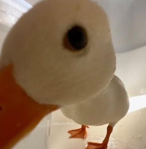 samknicks's tweet image. いつの料理の？ 🍚