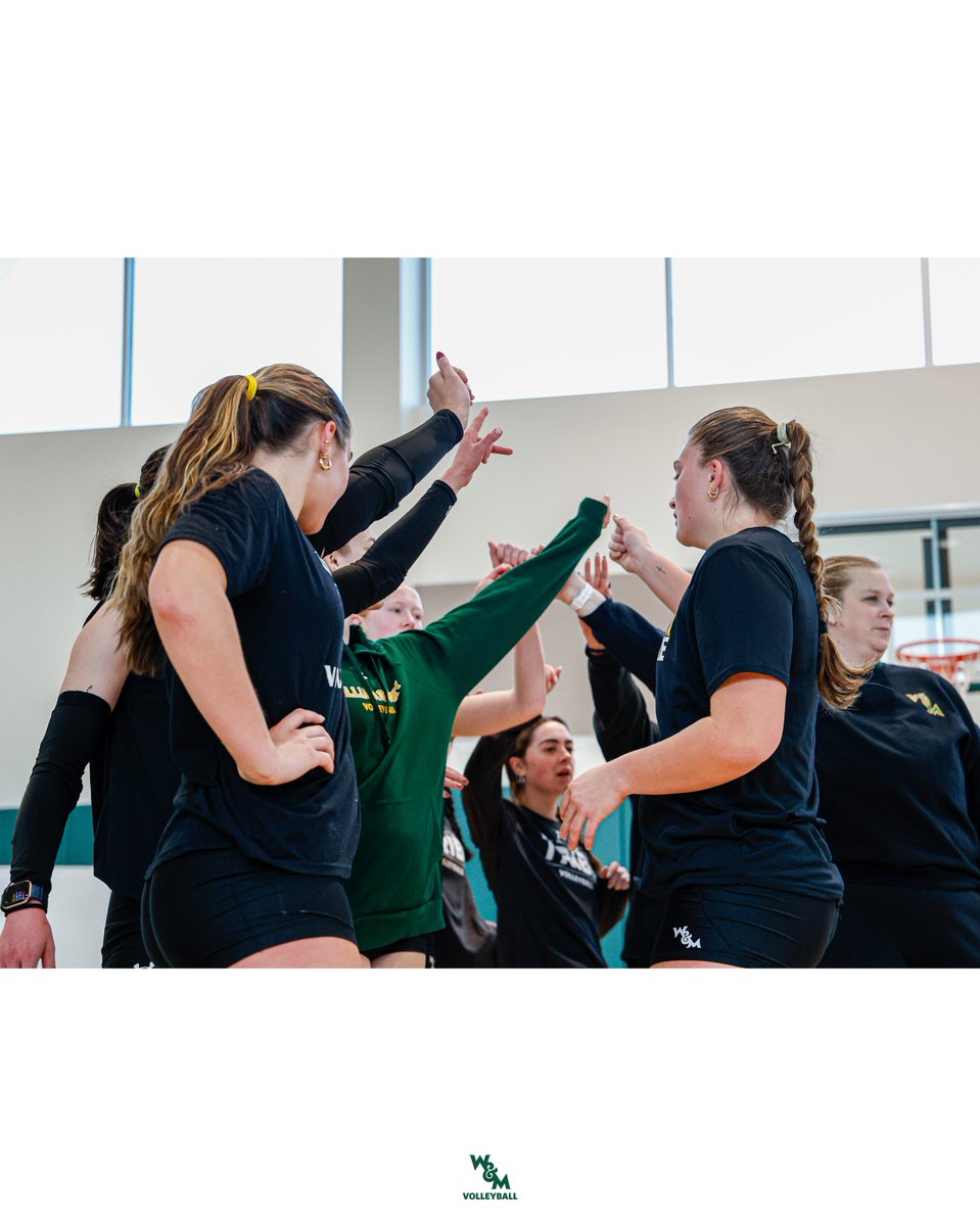 William & Mary Tribe Volleyball tweet media