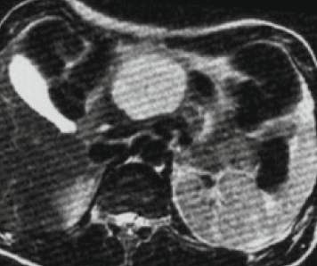 Anna Giulia Pavon tweet media