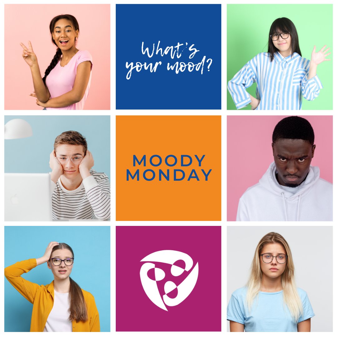 Bender Leadership Academy tweet media