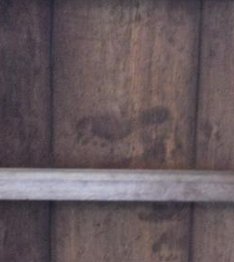 clapperclapper's tweet image. 名前が浅い 👨‍🦱