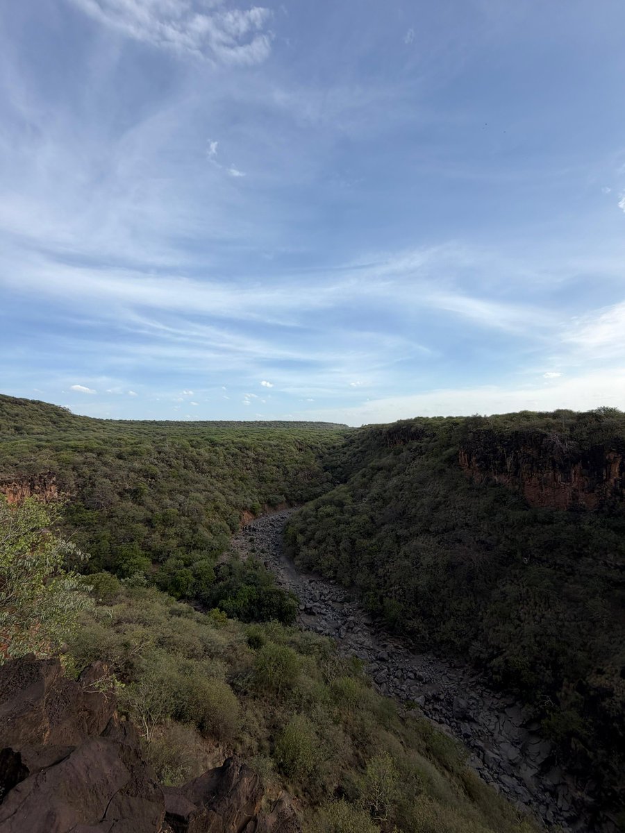 PerfectSafariz's tweet photo. For the love of views , nature camping and freedom..... This is Champagne Ridge, katika ubora wake! https://t.co/MTICuSry5w