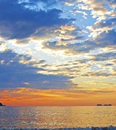 melquila's tweet image. 美しい動物 🦾