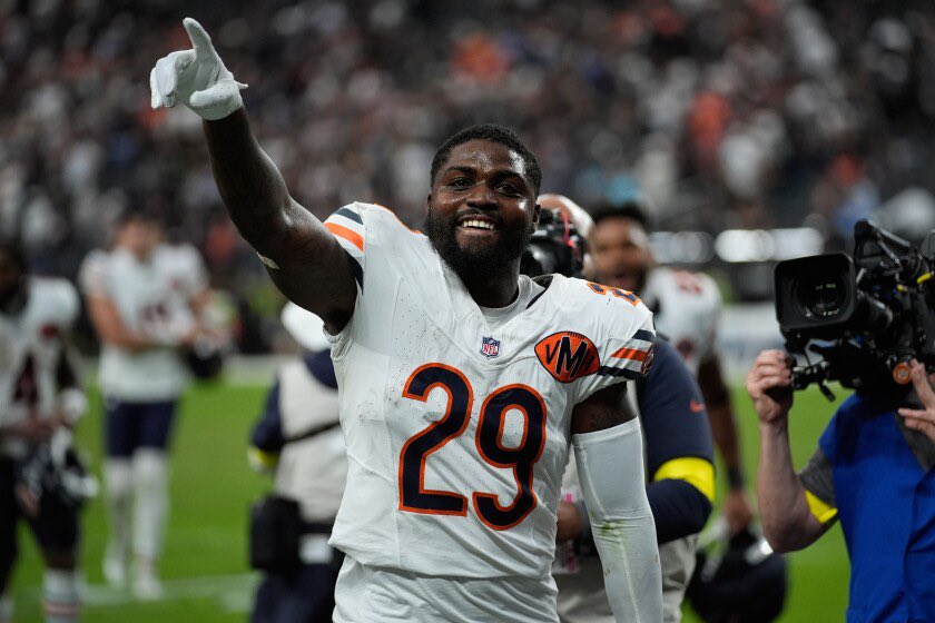 BearsMuse tweet media