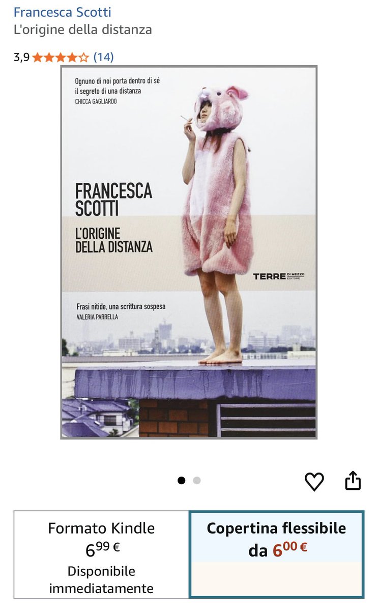 私はイタリアで本の表紙になっとるんですけども、最終セールだかで