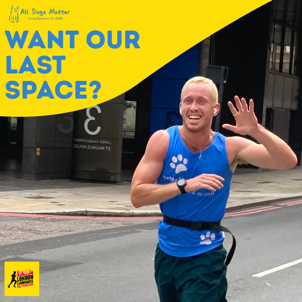 All Dogs Matter tweet media