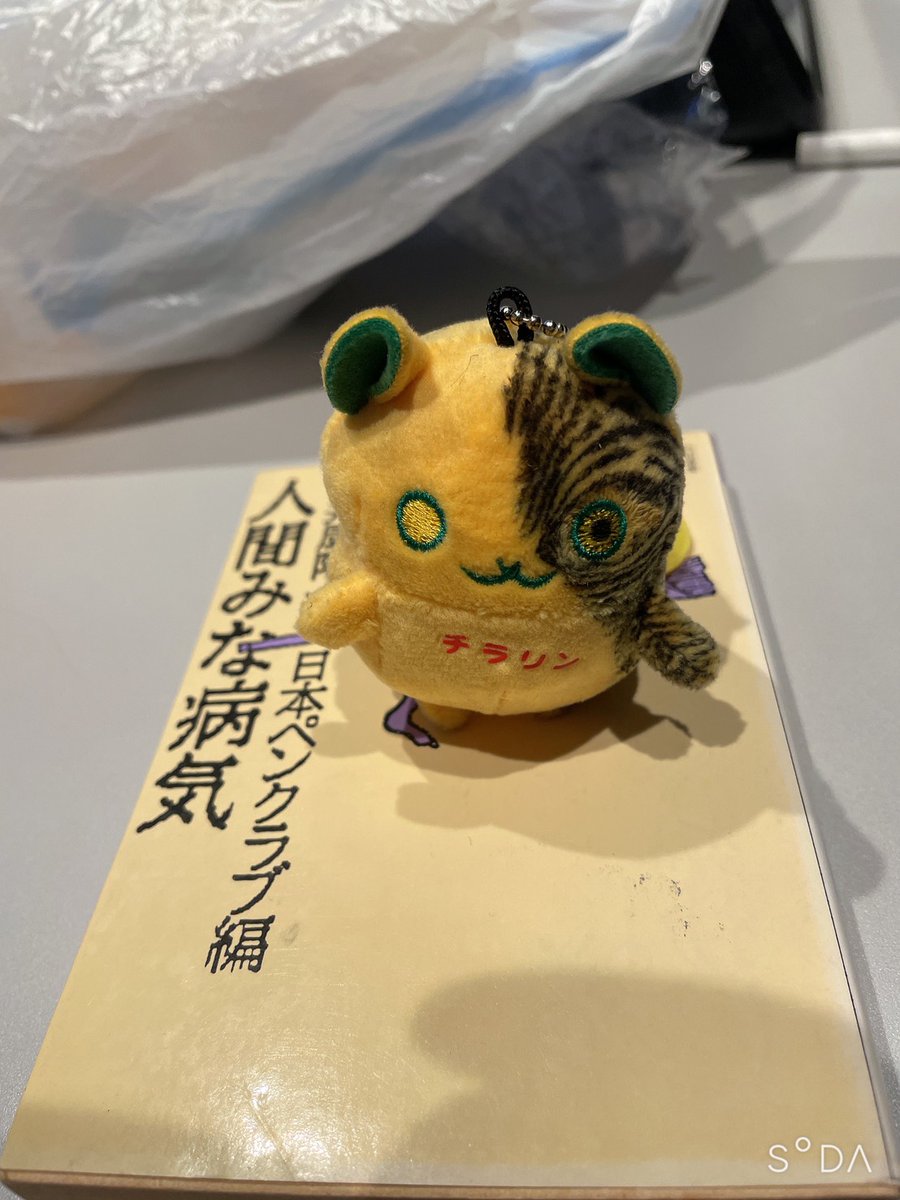 この日のゲストの新熟ちゃんの似顔絵と新熟ちゃんにあげたお絵描きぬい