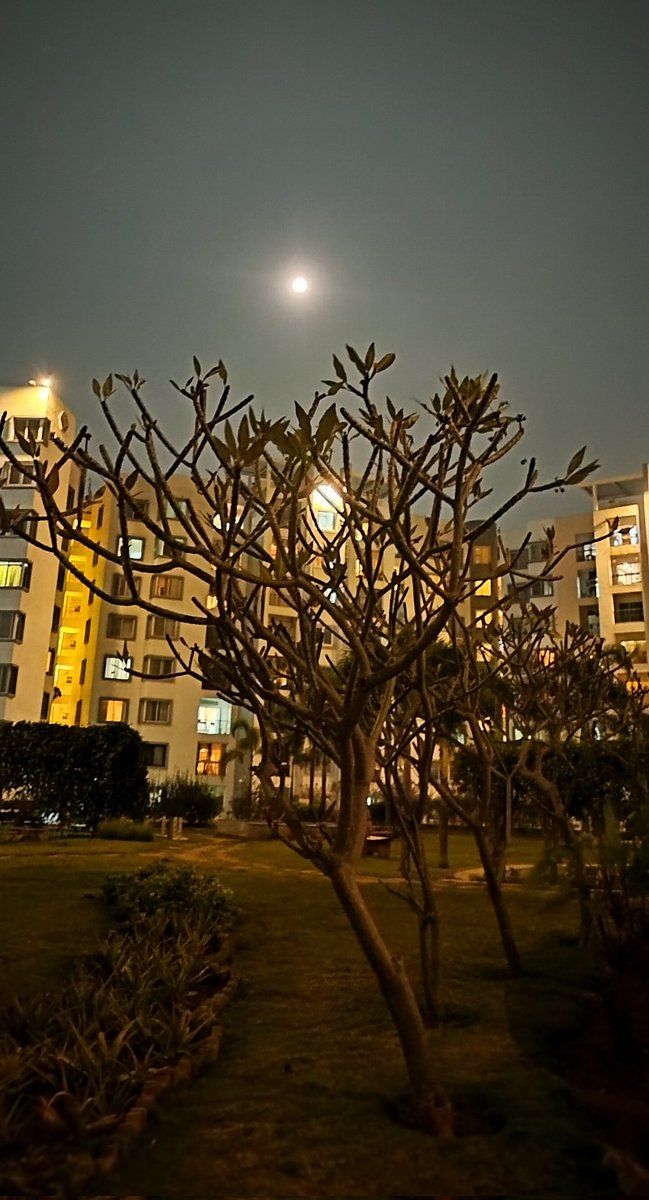 be_hiral's tweet photo. #Myclick 
#Moonvision 
#nightiscalling https://t.co/BBboFNzile